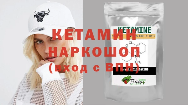 сатива Балахна