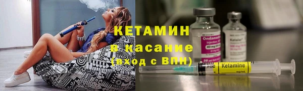 сатива Балахна