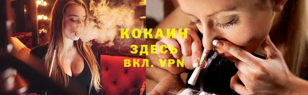 сатива Балахна
