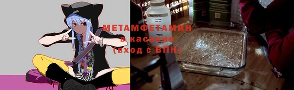 сатива Балахна