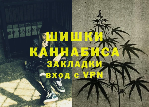 сатива Балахна