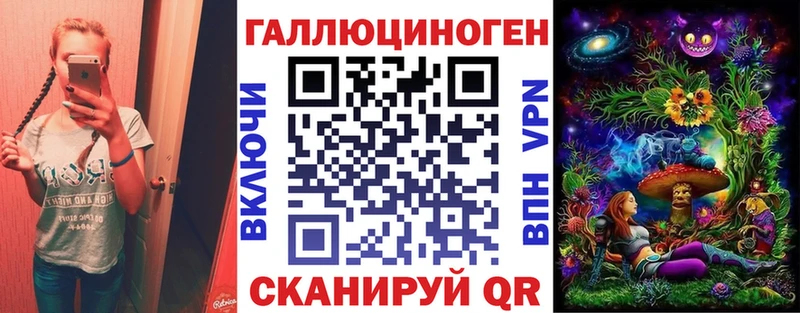 купить   Губаха  Галлюциногенные грибы GOLDEN TEACHER 