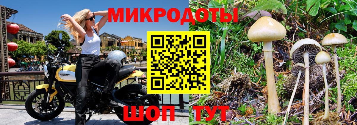 Губаха  Галлюциногенные грибы Psilocybine cubensis  цена наркотик  Вход с VPN 