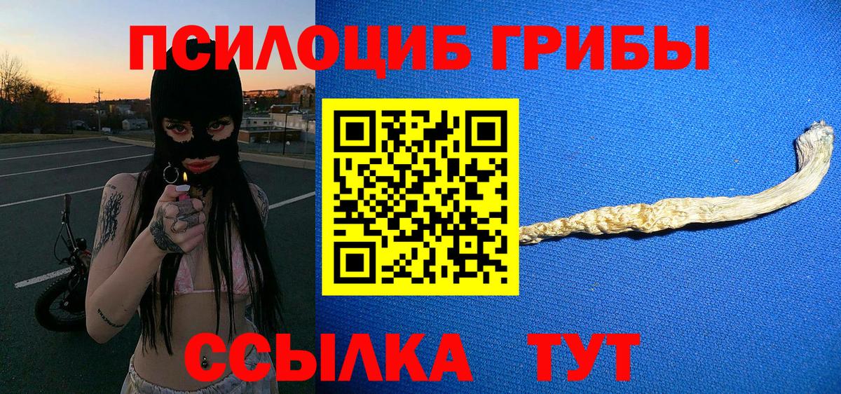 Галлюциногенные грибы Cubensis Губаха